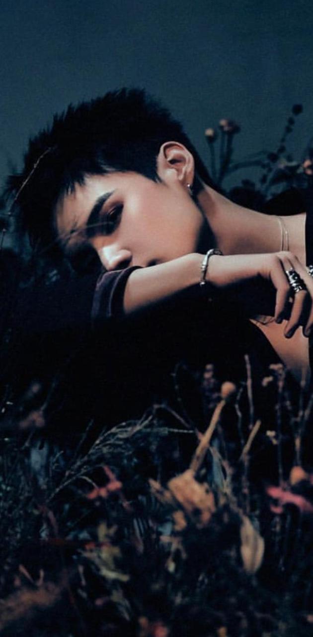 Sejun wallpaper