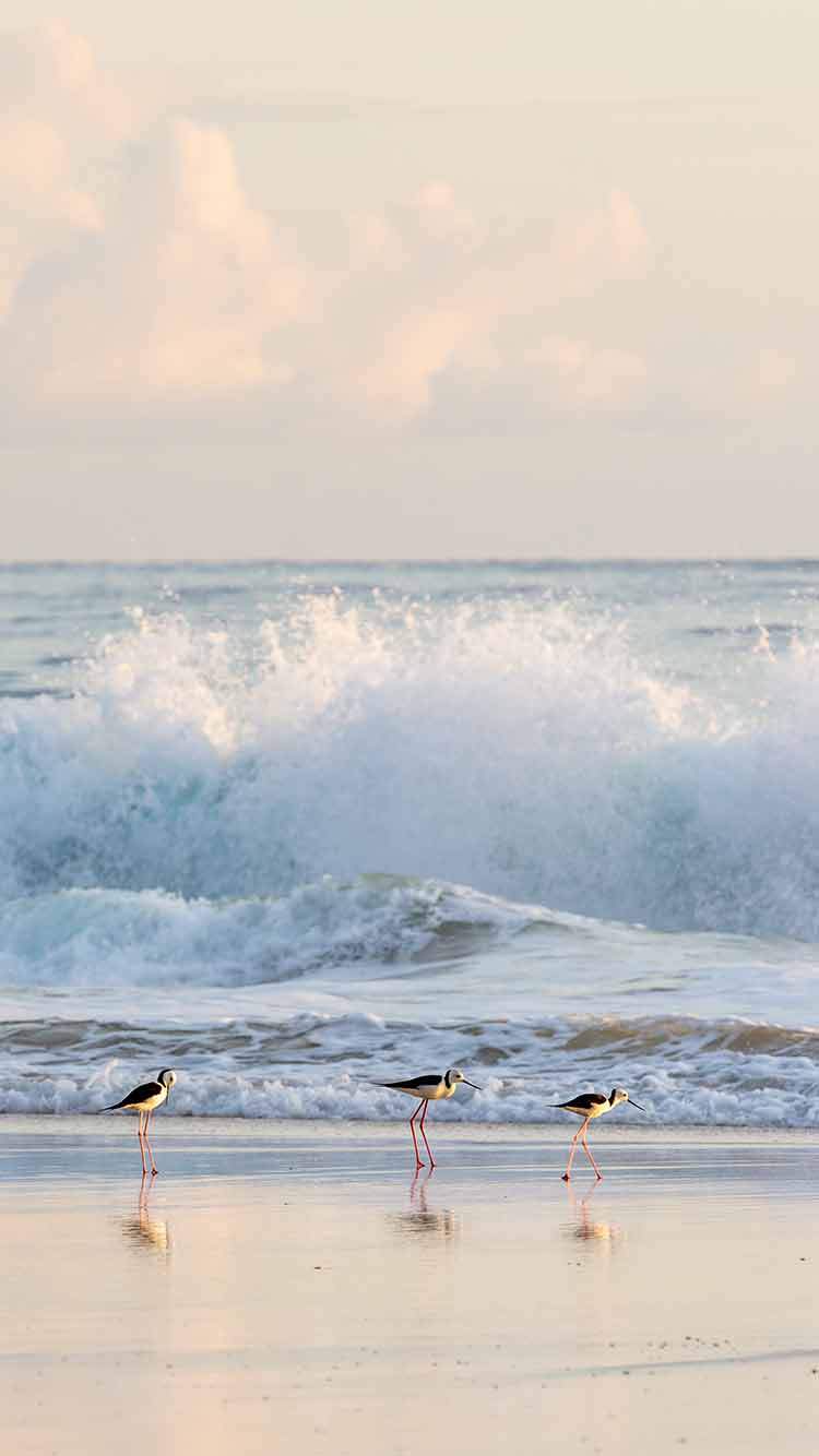Nihi Sumba, Sumba, Indonesia