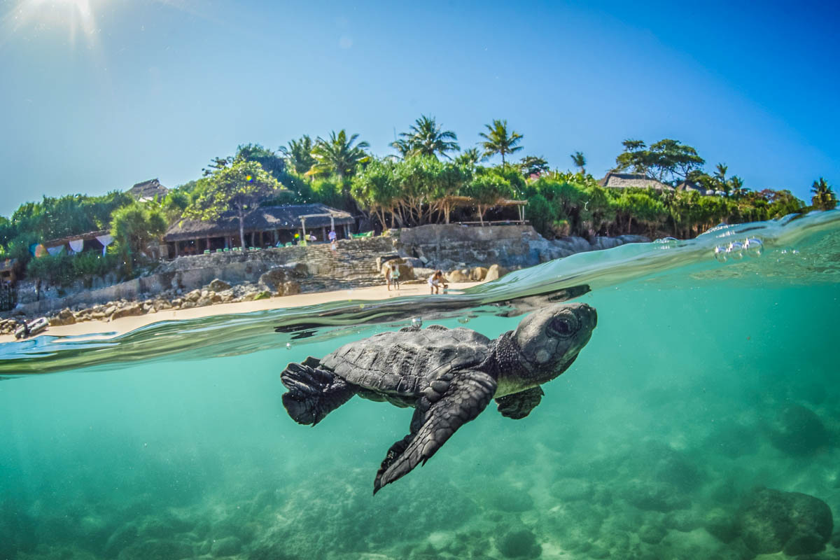 Book Nihi Sumba Island, Luxury Vacation Rentals