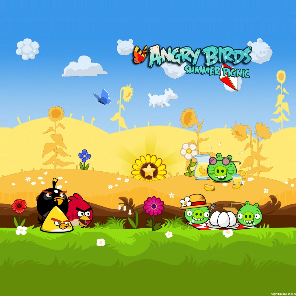 Angry Birds Seasons Summer Pignic iPad Background