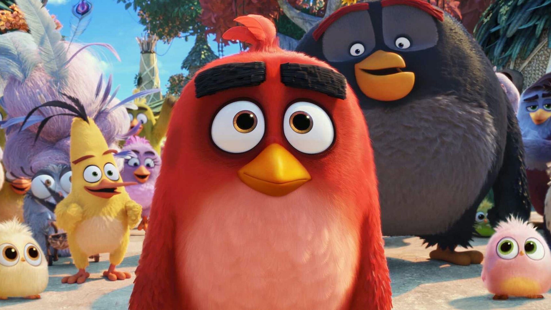 ANGRY BIRDS is Getting an Animated Series at Netflix Titled ANGRY BIRDS: SUMMER MADNESS