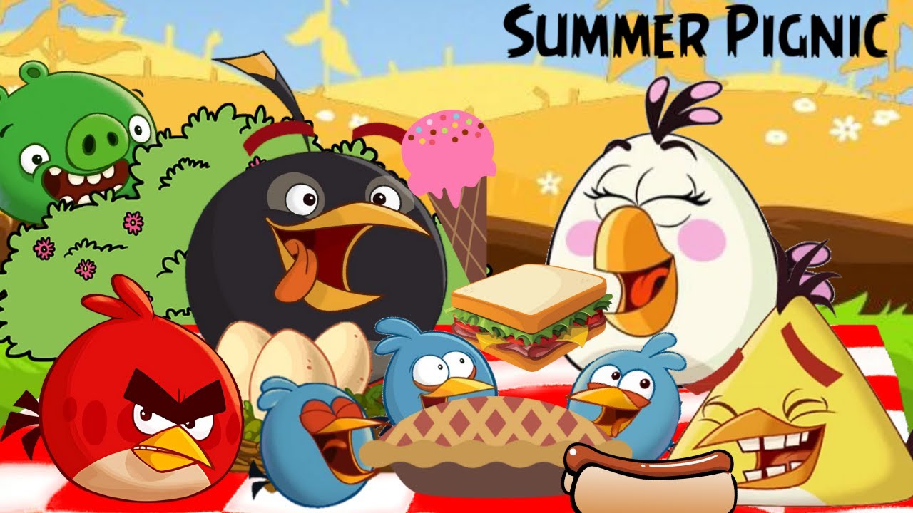 Summer Pignic. Angry Birds Angry Ventures S1 Ep11