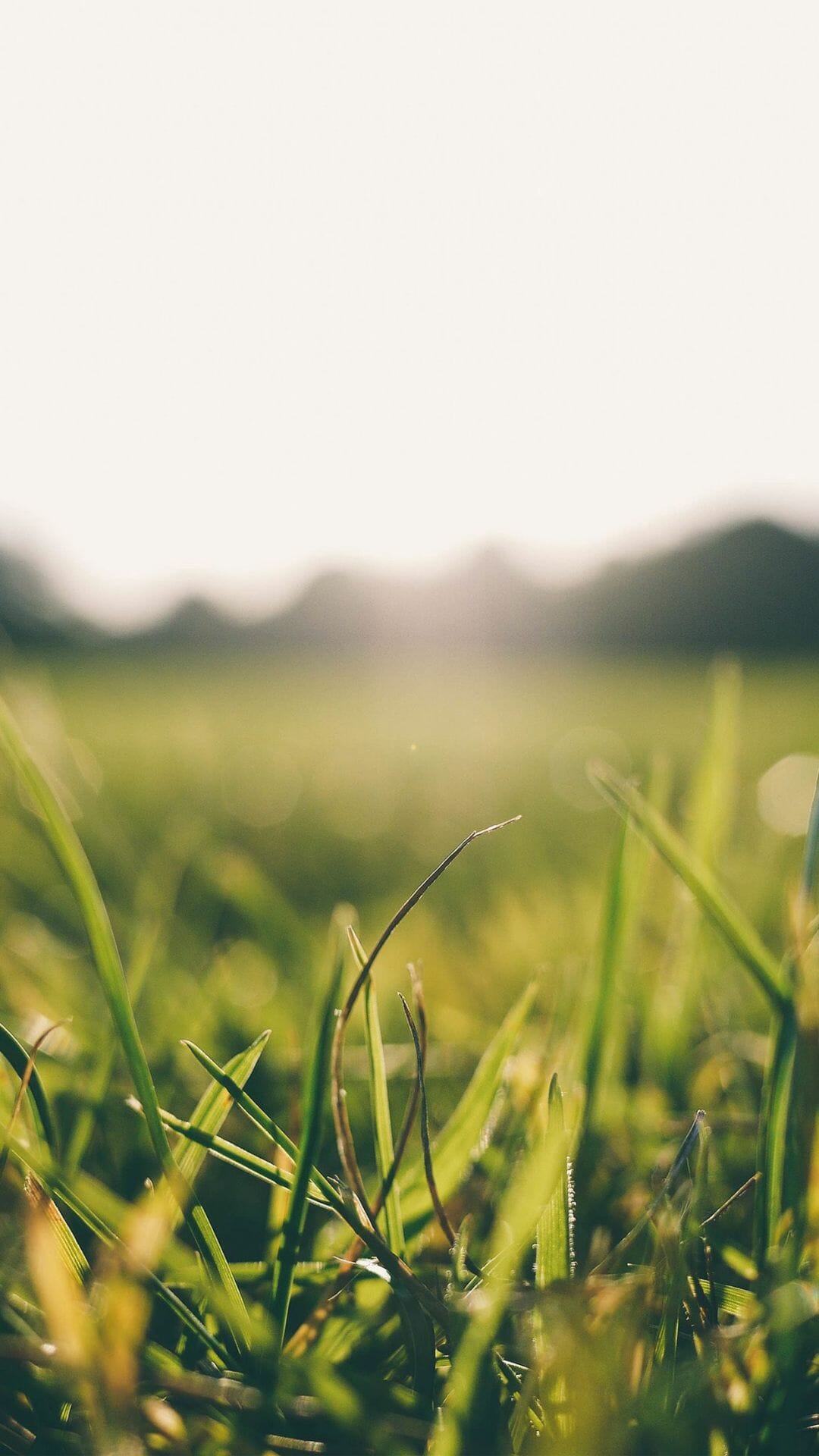 Grass Green Bokeh Light Summer Nature Android wallpaper