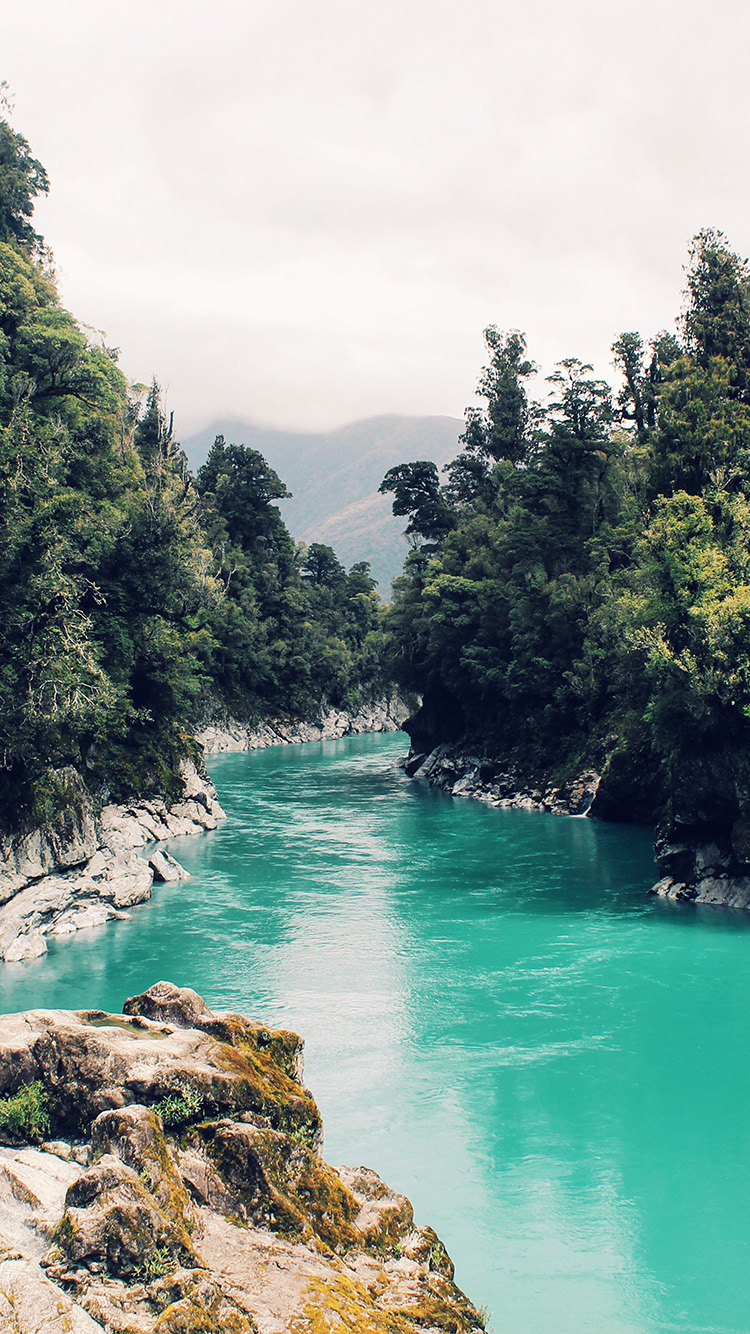 Summer Nature Wallpaper iPhone