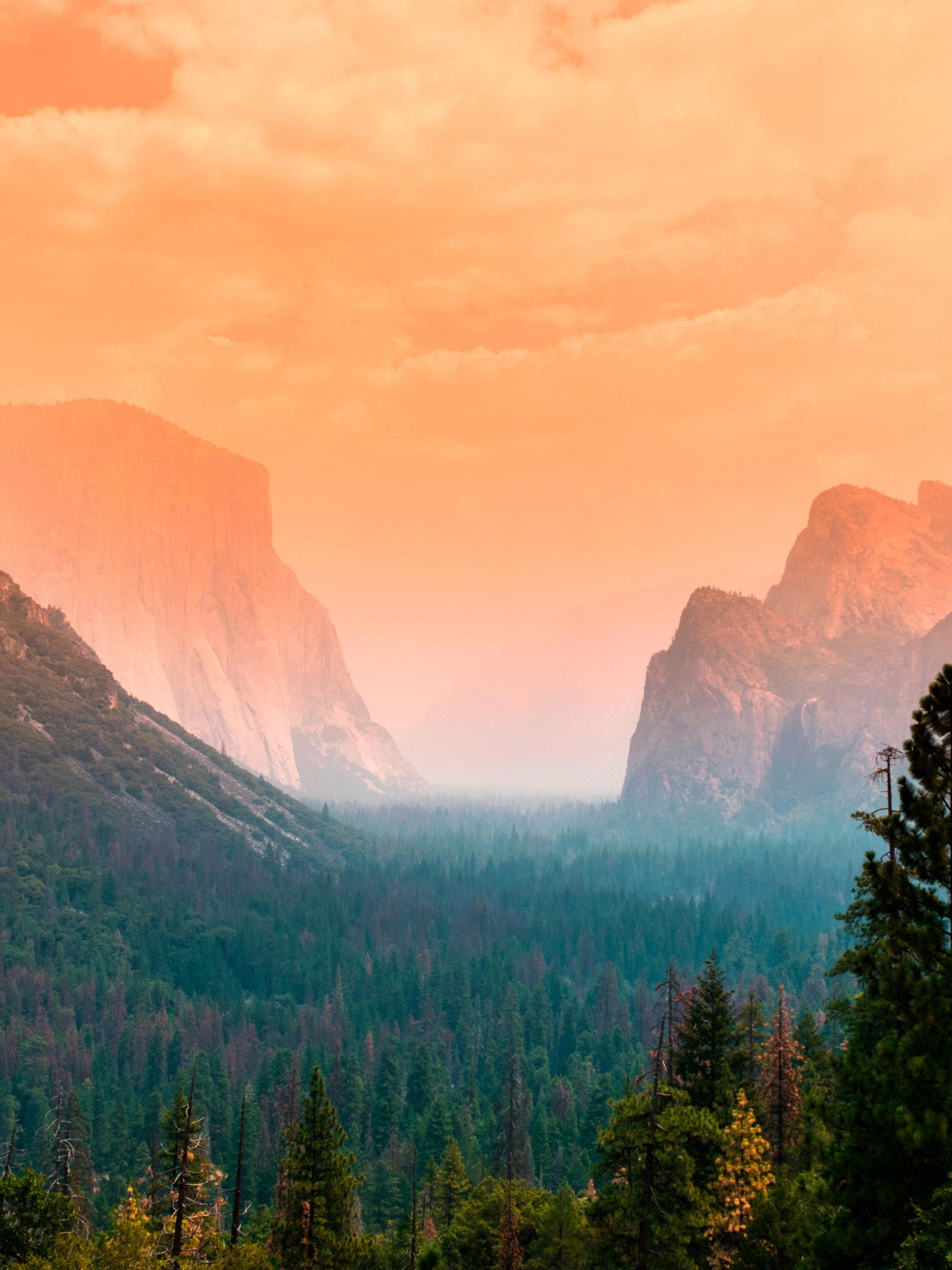 Yosemite Valley Wallpaper 4K, Summer, Green Trees, Orange sky, Cliffs, Nature
