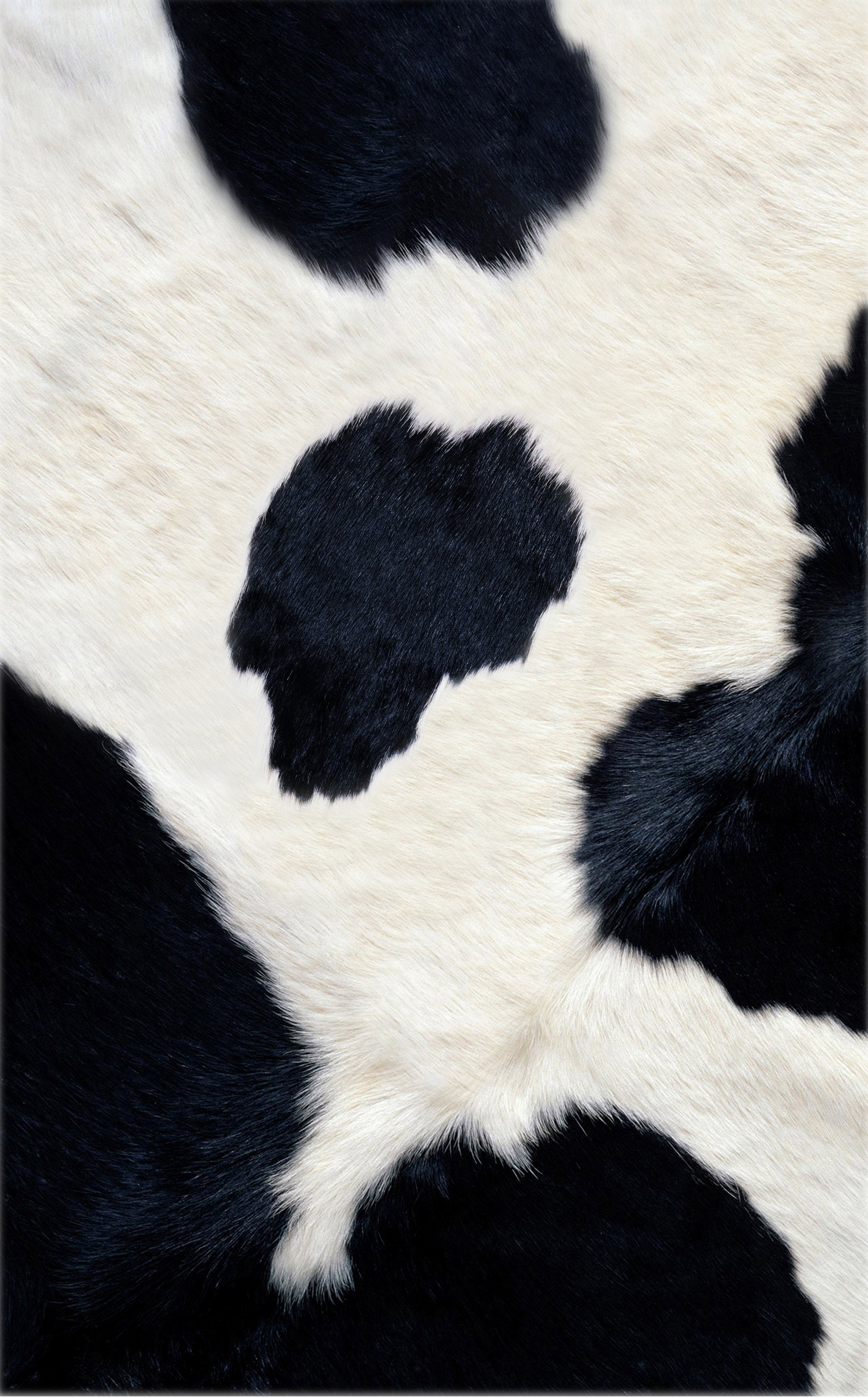 Seamless Texture of Cow Hide Wallpaper Skin of Cattle Stock Vector   Illustration of livestock fabric 134949767