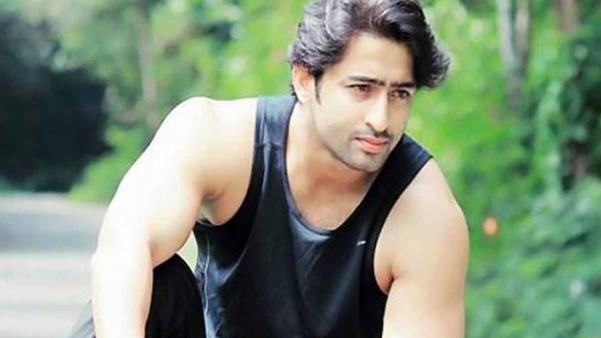 Mahabharat's Arjun aka Shaheer Sheikh takes a trip down the memory lane amidst lockdown, see photo