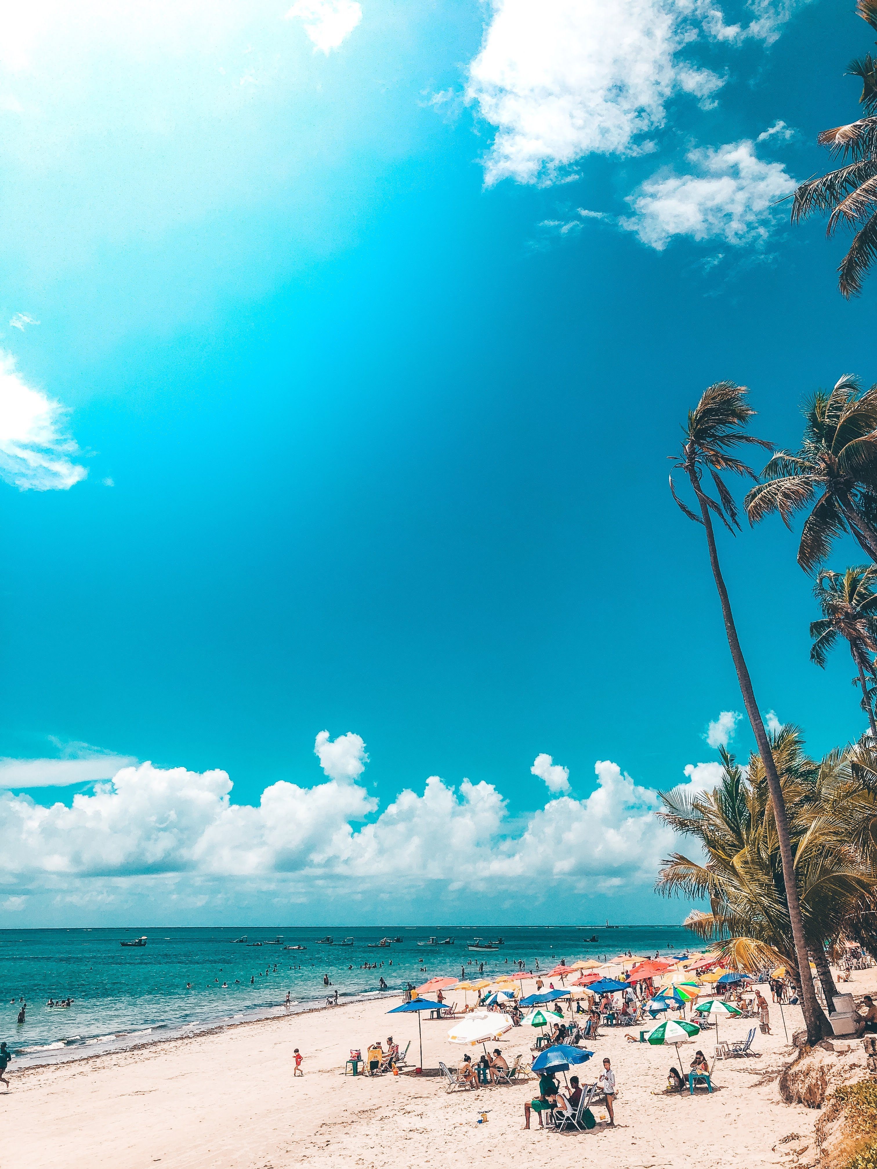 Maceió. Maceio, Quadro dos sonhos, Urbanismo