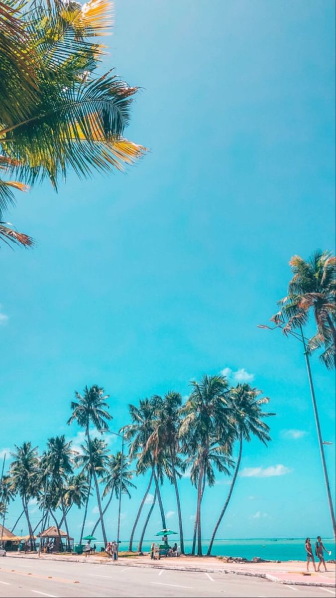 Maceió. Fotografia de paisagem, Maceio, Fotografia