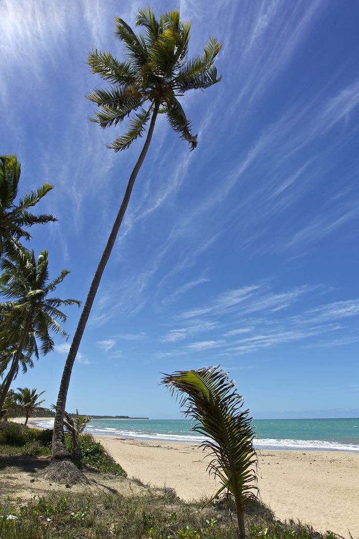 Praia da Sereiaó, Alagoas. Beach, Outdoor, Water