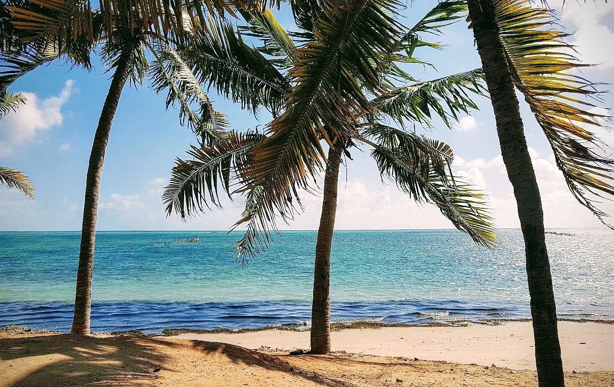 Ponta Verde Beach (Maceio) You Need to Know BEFORE You Go