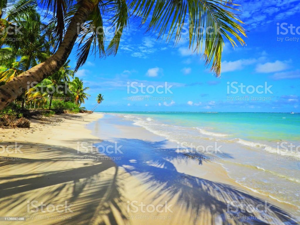 São Miguel Dos Milagres Alagoas Brazil Fantastic Beach Scene Caribbean View Image Now