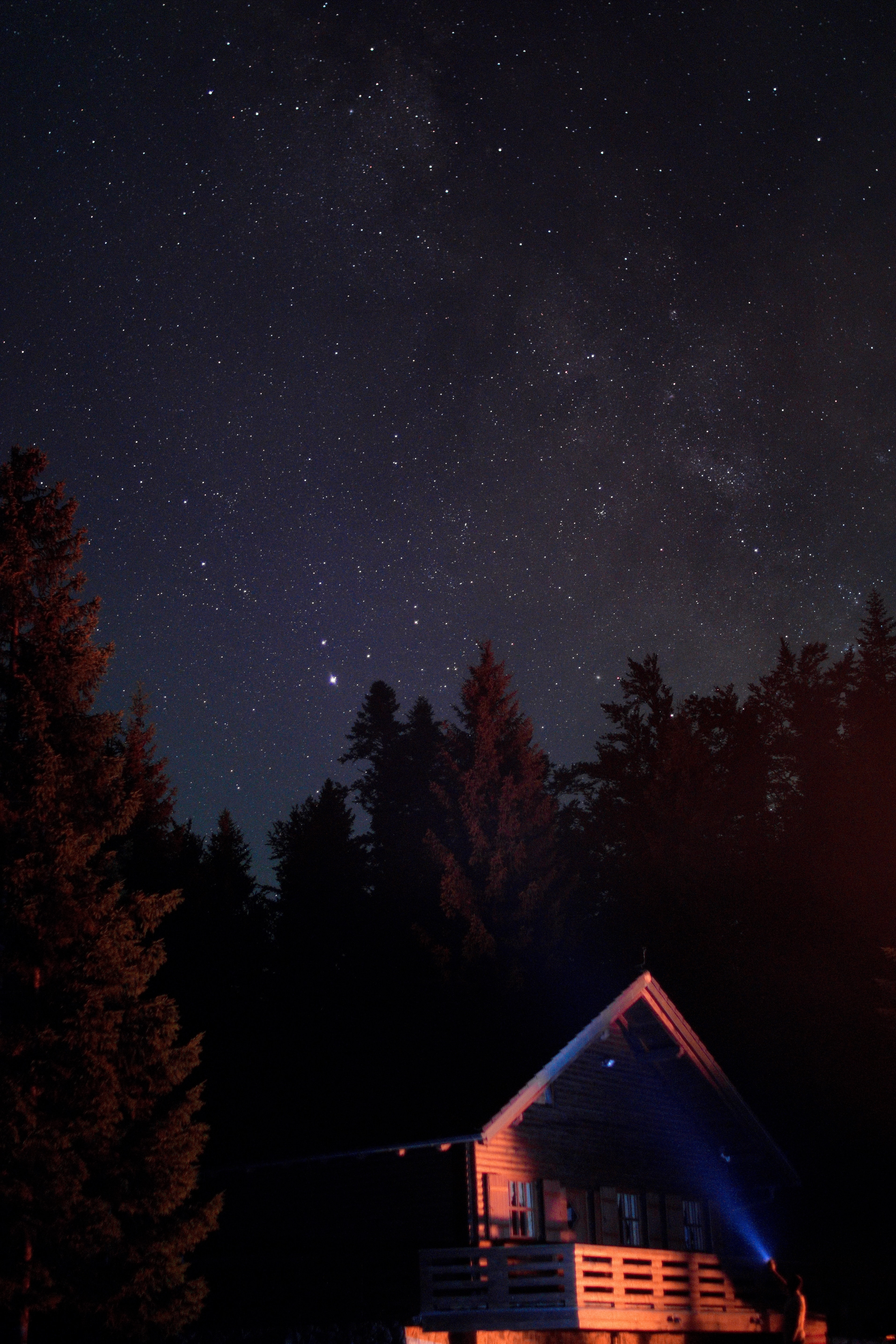 Download wallpaper 3828x5743 house, night, dark, trees, starry sky HD background
