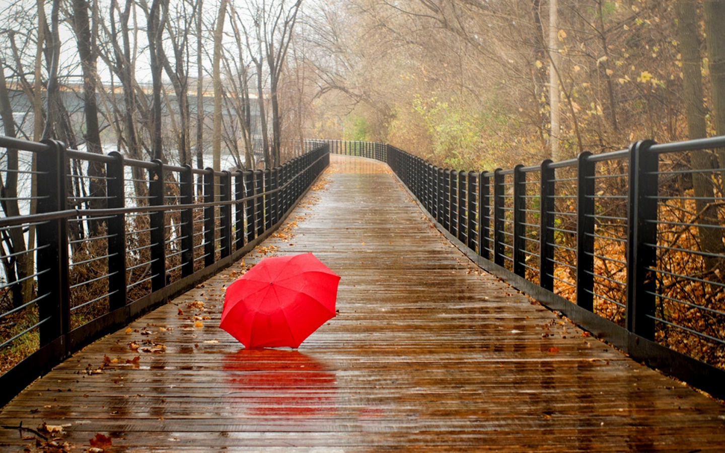 Free download Rainy Day HD Wallpaper [1440x900] for your Desktop, Mobile & Tablet. Explore Rainy Day Wallpaper. Rainy Day Wallpaper Widescreen, Stormy Day Desktop Wallpaper, Rainy Desktop Wallpaper
