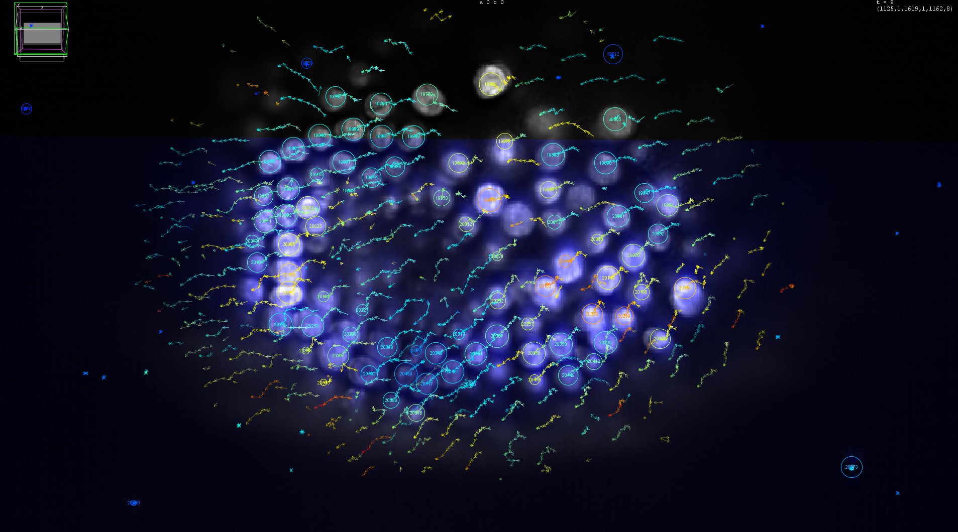 Jean Yves Tinevez Analysis Hub