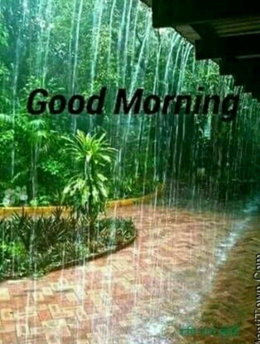 Good morning. Good morning rainy day, Rainy good morning, Morning image