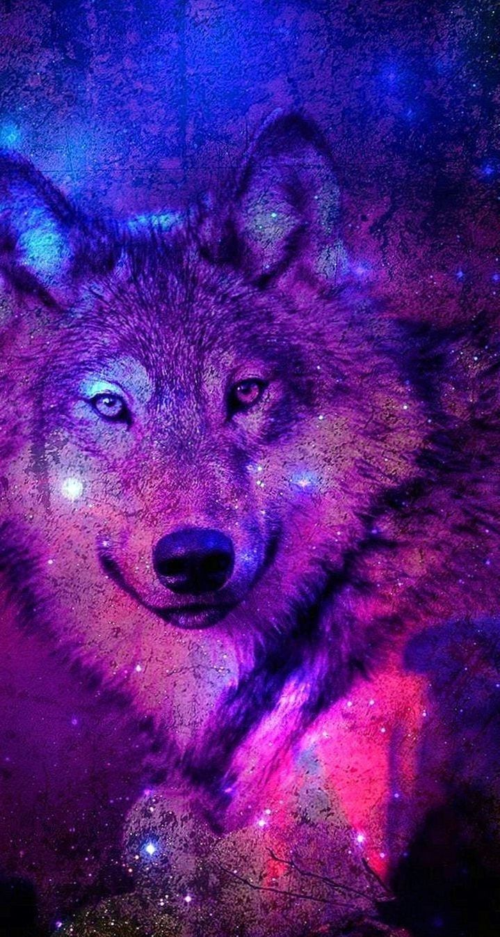 Be A Wolf Wallpaper #Be #A #Wolf #Wallpaper. Wolf wallpaper, Galaxy wolf, Wolf picture