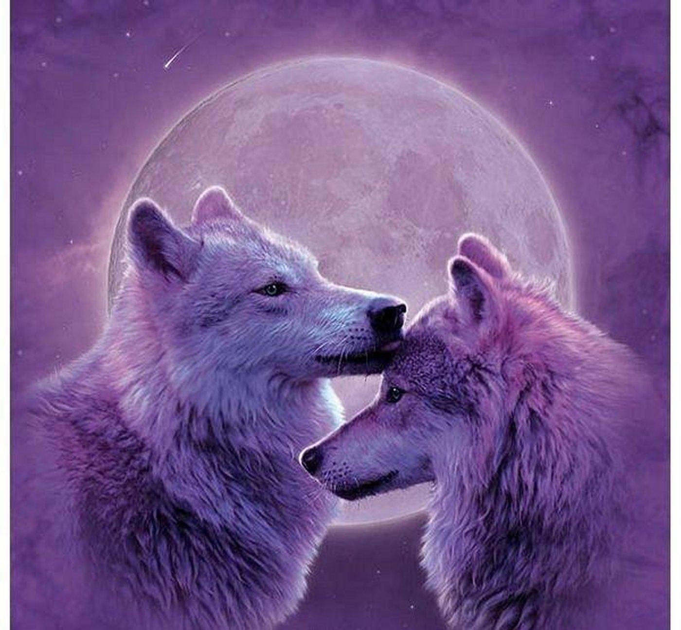 Love Wolves Wallpaper