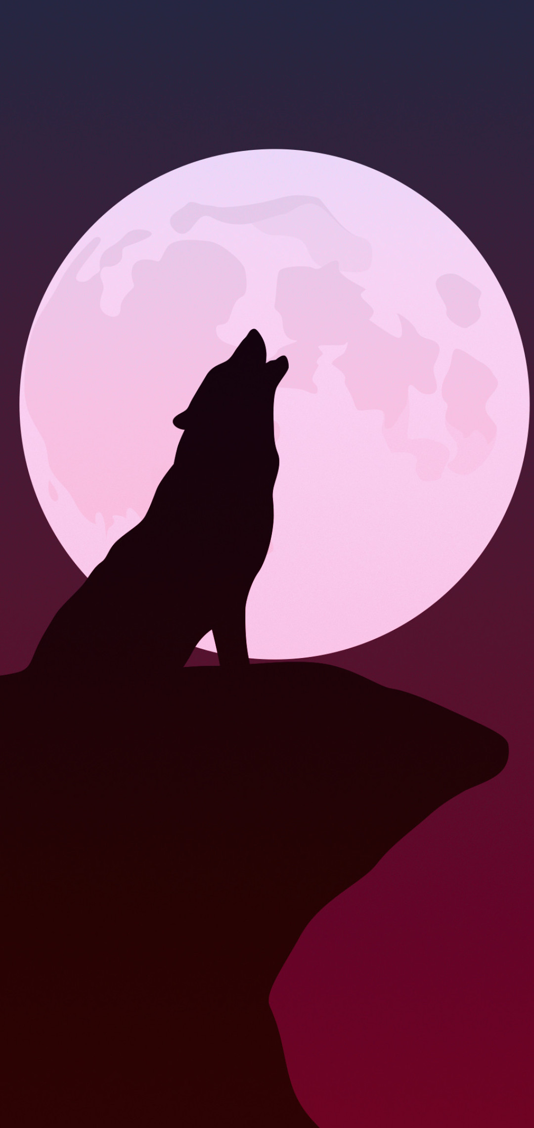 Wolf Wallpaper Wolf Background Download