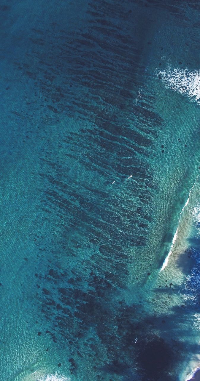 Jay Alvarrez, Photo. Surfing photography, Water, Salt water fishing
