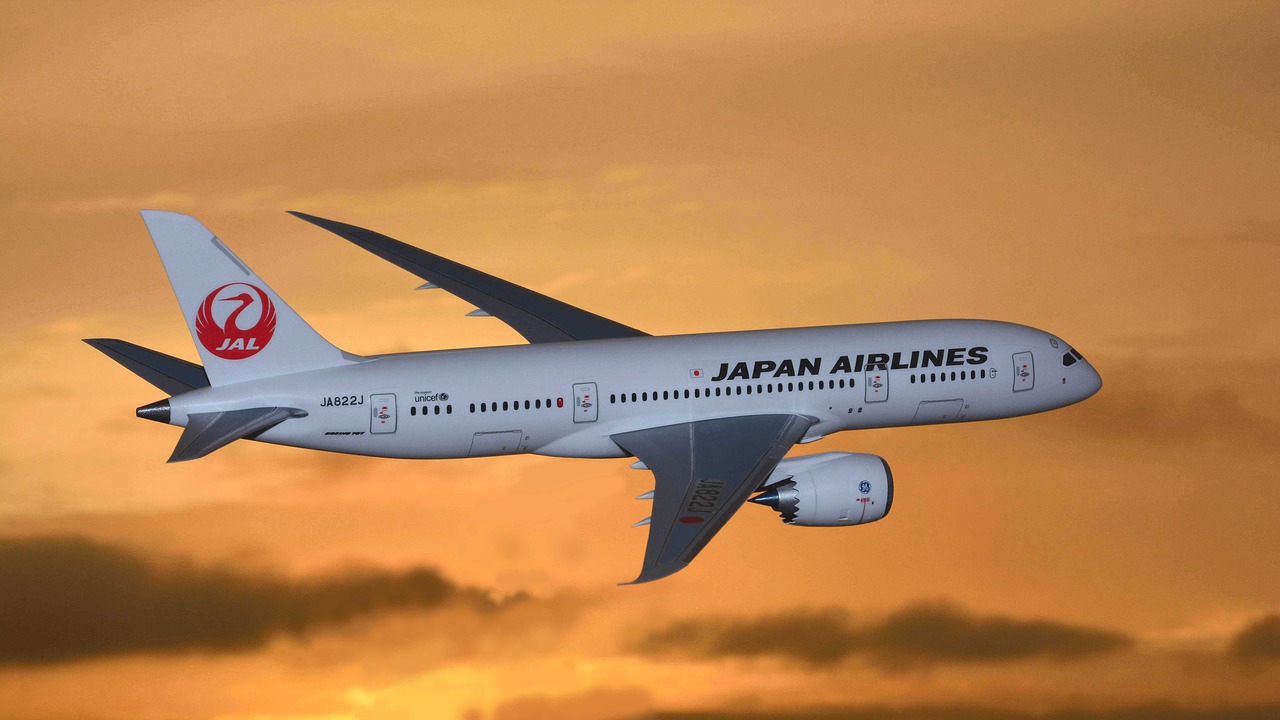 Airport Japan Airlines Model