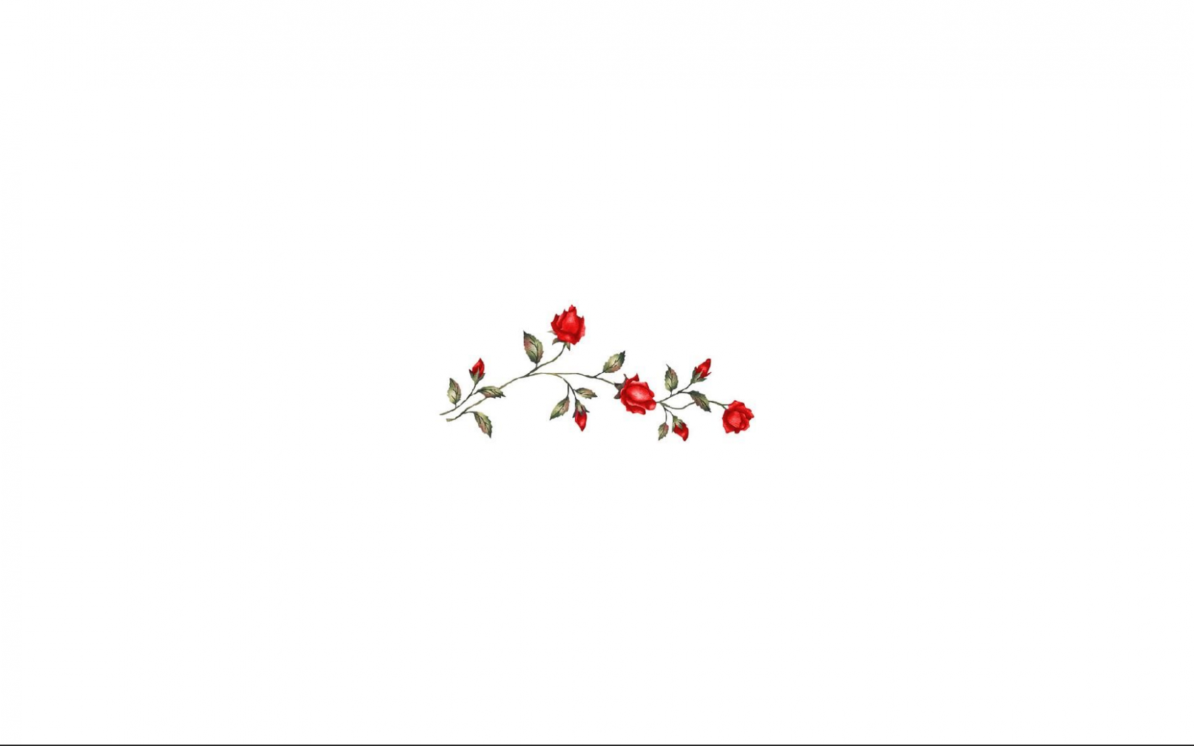 Free download red roses background for computer white and red and white [1920x1080] for your Desktop, Mobile & Tablet. Explore Aesthetic White Computer Wallpaper. White Aesthetic Wallpaper, White Aesthetic