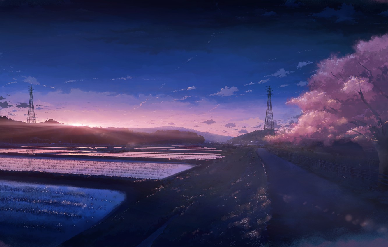 Wallpaper sunset, spring, Sakura, rice fields image for desktop, section арт