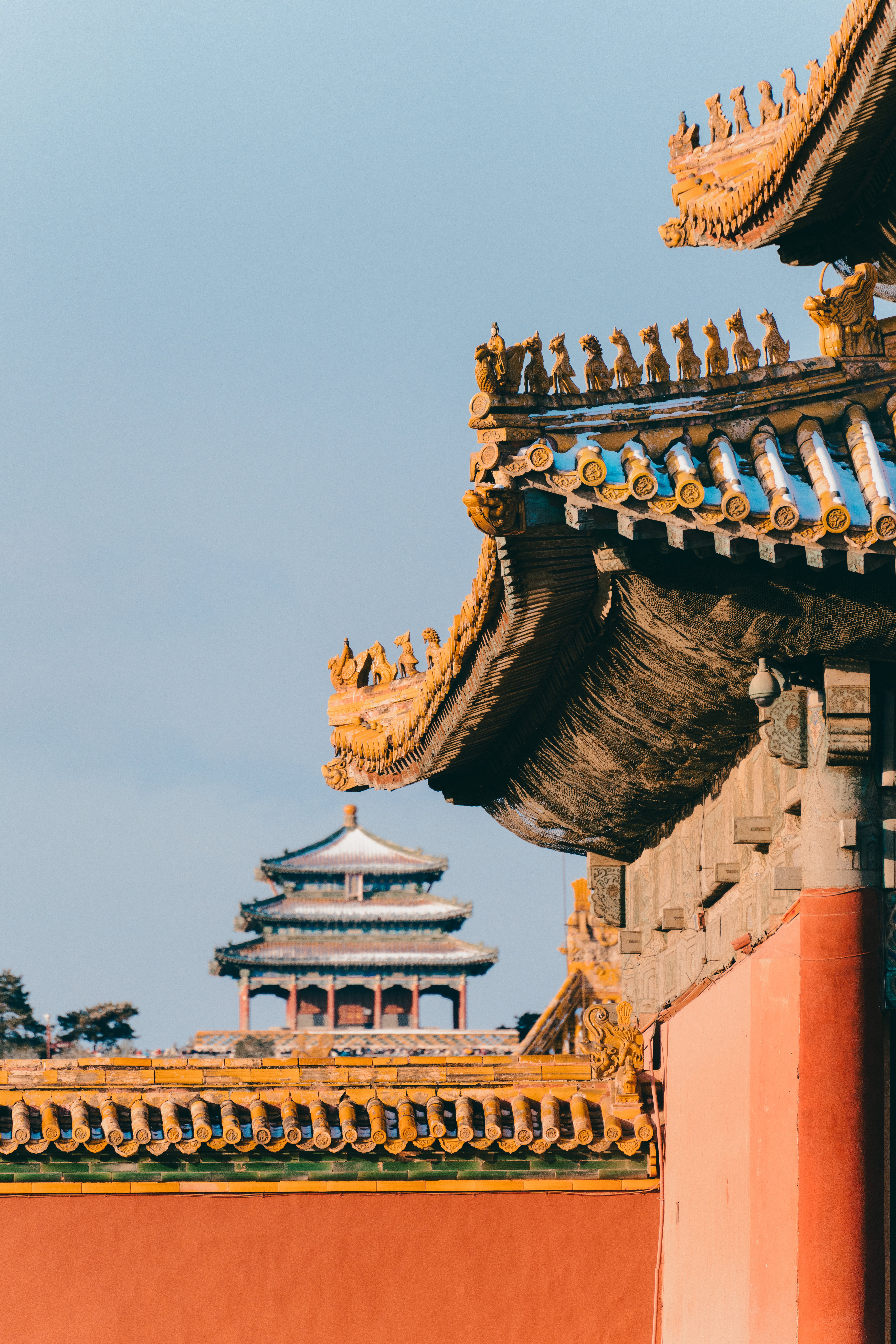 Rooftops of Chinese Palace · Free