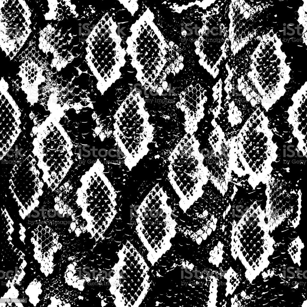 Snake Skin Scales Texture Seamless Pattern Black White Background Simple Ornament Fashion Print And Trend Of The Season Can Be Used For Gift Wrap Fabrics Wallpaper Vector Stock Illustration