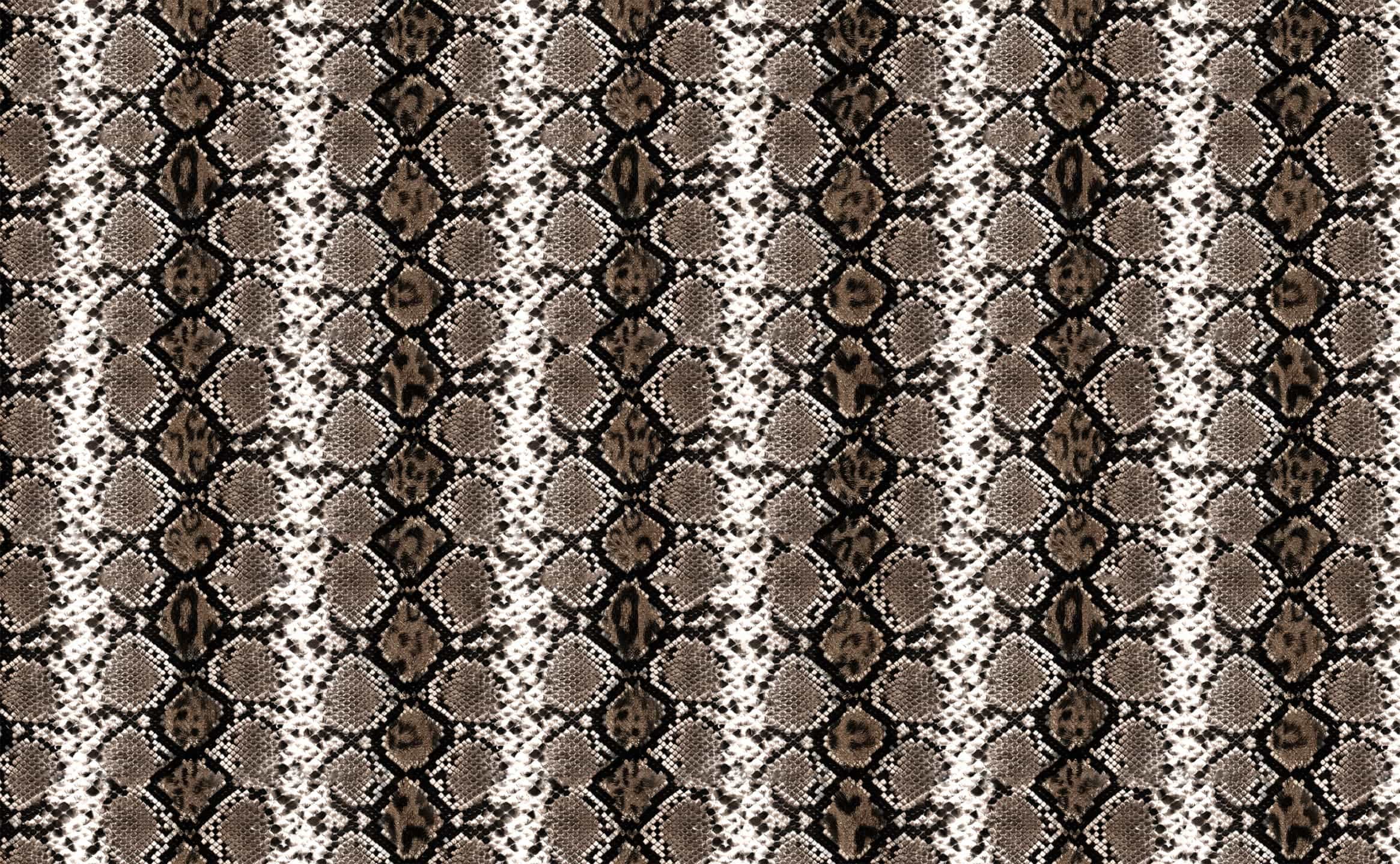 Snakeskin with leopard print Pattern Wallpaper for Walls