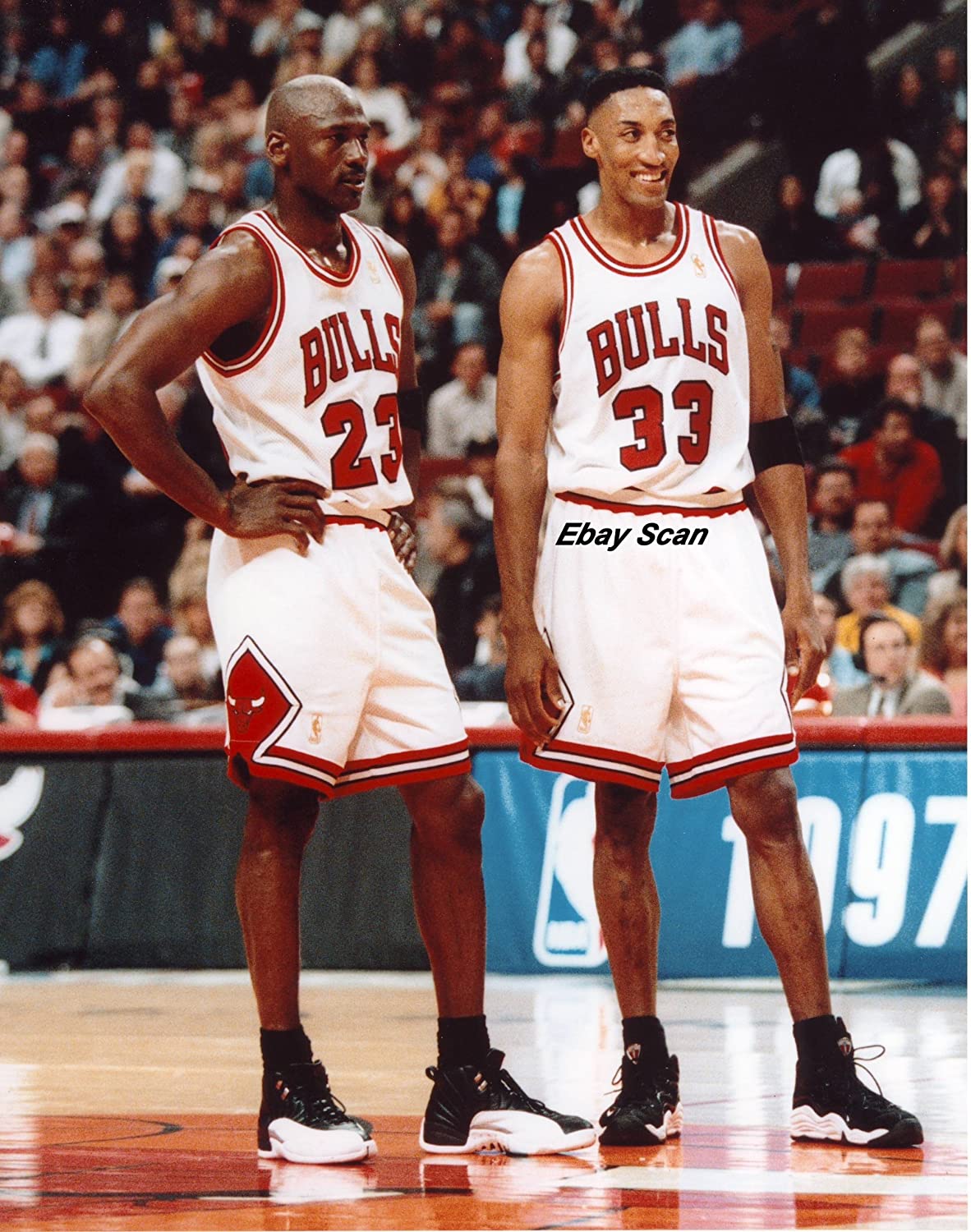 Michael Jordan Scottie Pippen Poster Photo Chicago Bulls NBA Posters Photo 16x20, Sports & Outdoors