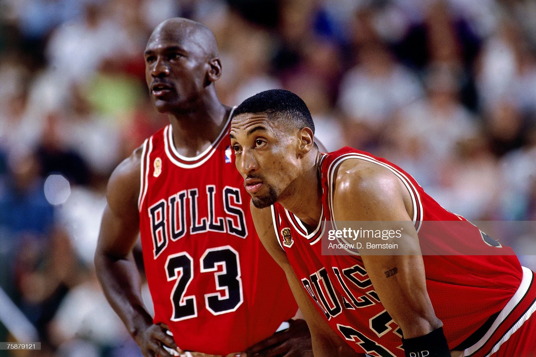 Michael Jordan and Scottie Pippen of the Chicago Bulls catch their. News Photo