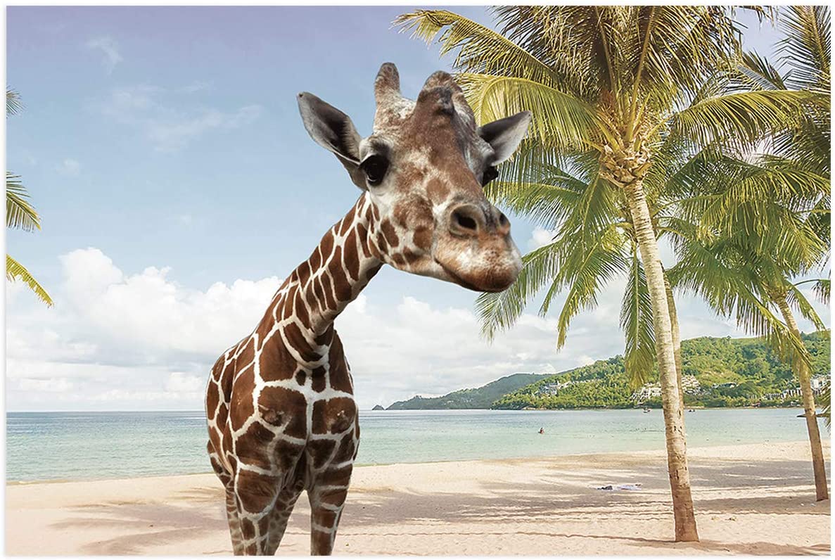 Amazon.com, Fantasy Staring Aquarium Background Giraffe and Palm Summer Beach Landscape Fish Tank Wallpaper Easy to Apply and Remove PVC Sticker Picture Poster Background Decoration 24.4 x 60.8, Pet Supplies