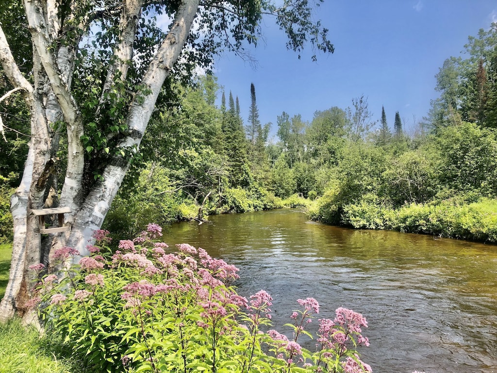 Riverfront cabin in the woods. Pet welcome. Hot tub. Traverse County