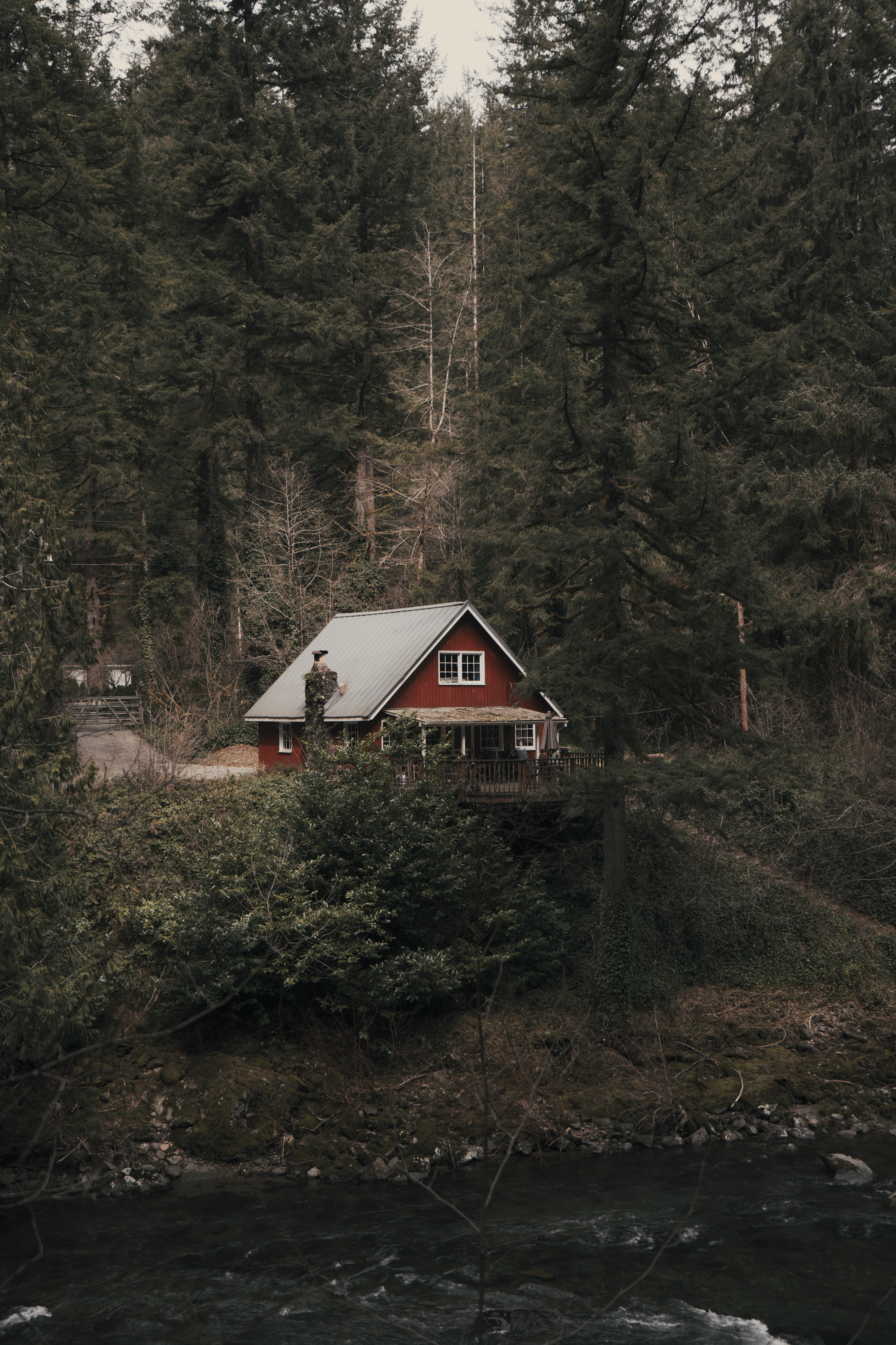 A Scenic View of a Wooden Cabin Surrounded with Trees Near a River · Free