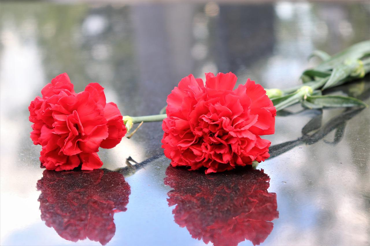Two Red Carnations Black Marble