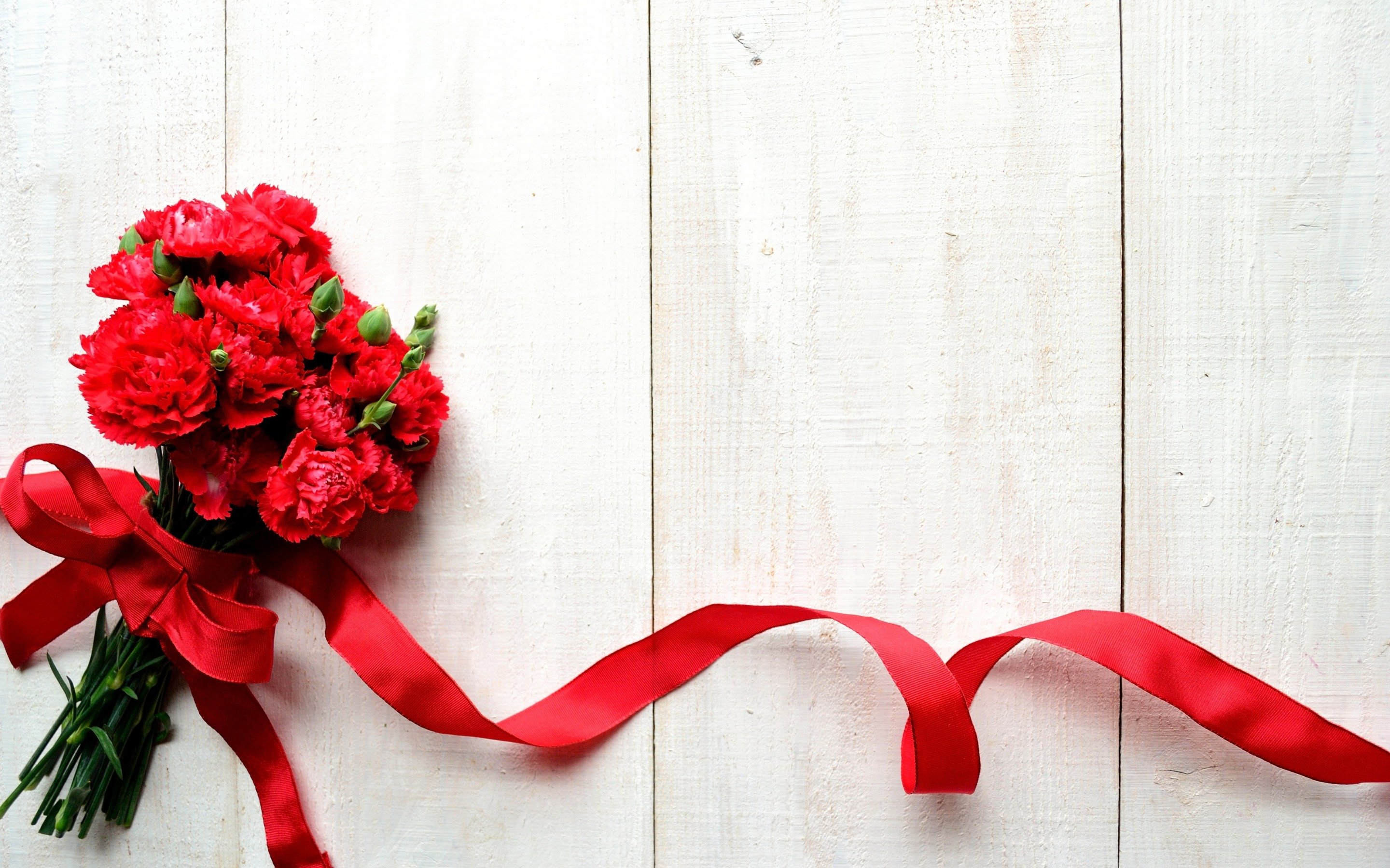 Free download Red Carnations Flowers With Ribbon Wallpapers 1621 [2880x1800] for your Desktop, Mobile & Tablet
