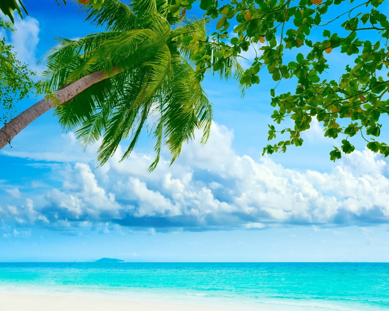 Tropical Beach Resorts Summer Scenery HD Wallpaper