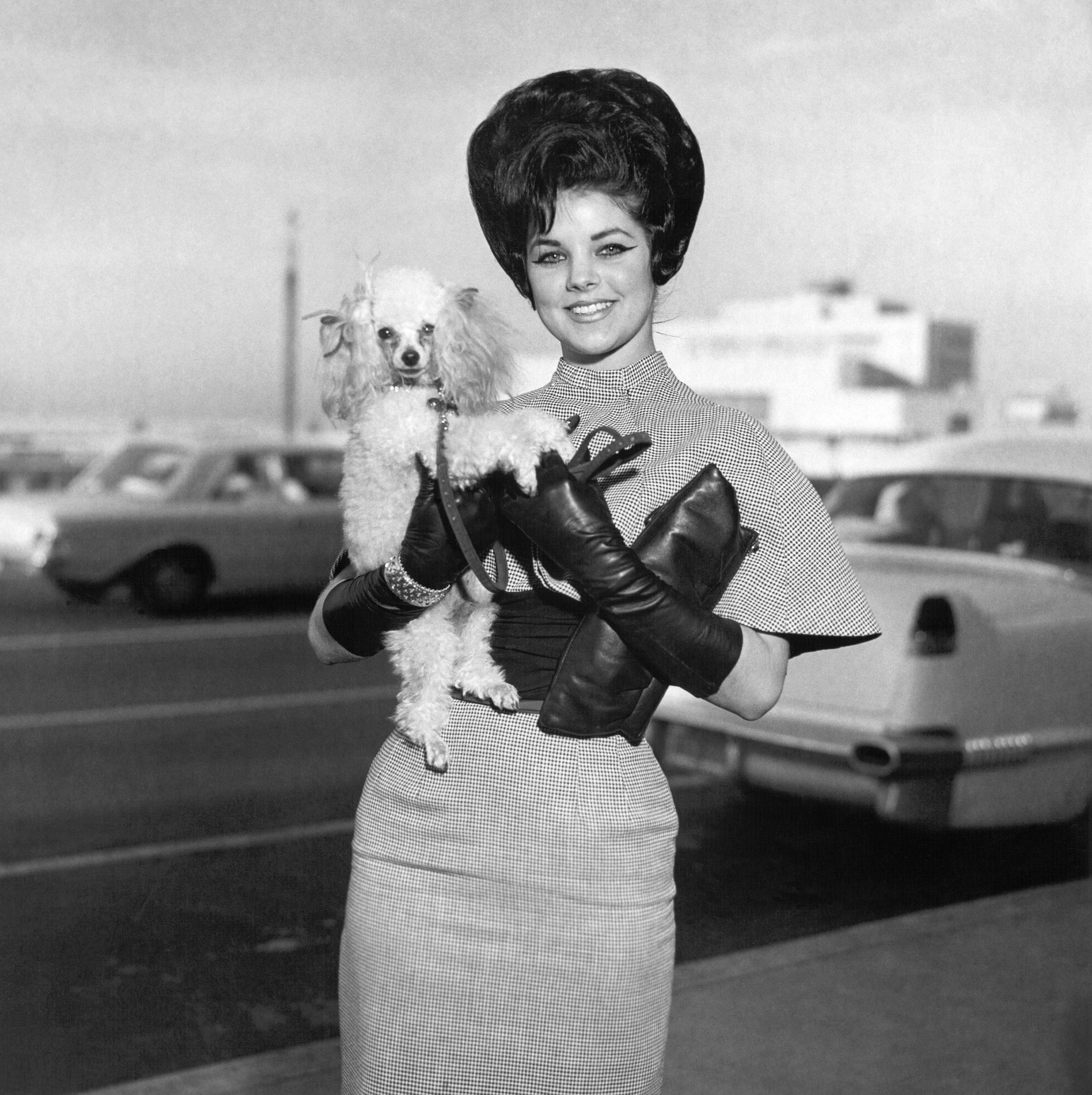Archive Photo Of Priscilla Presley, A Beauty Icon For The Ages
