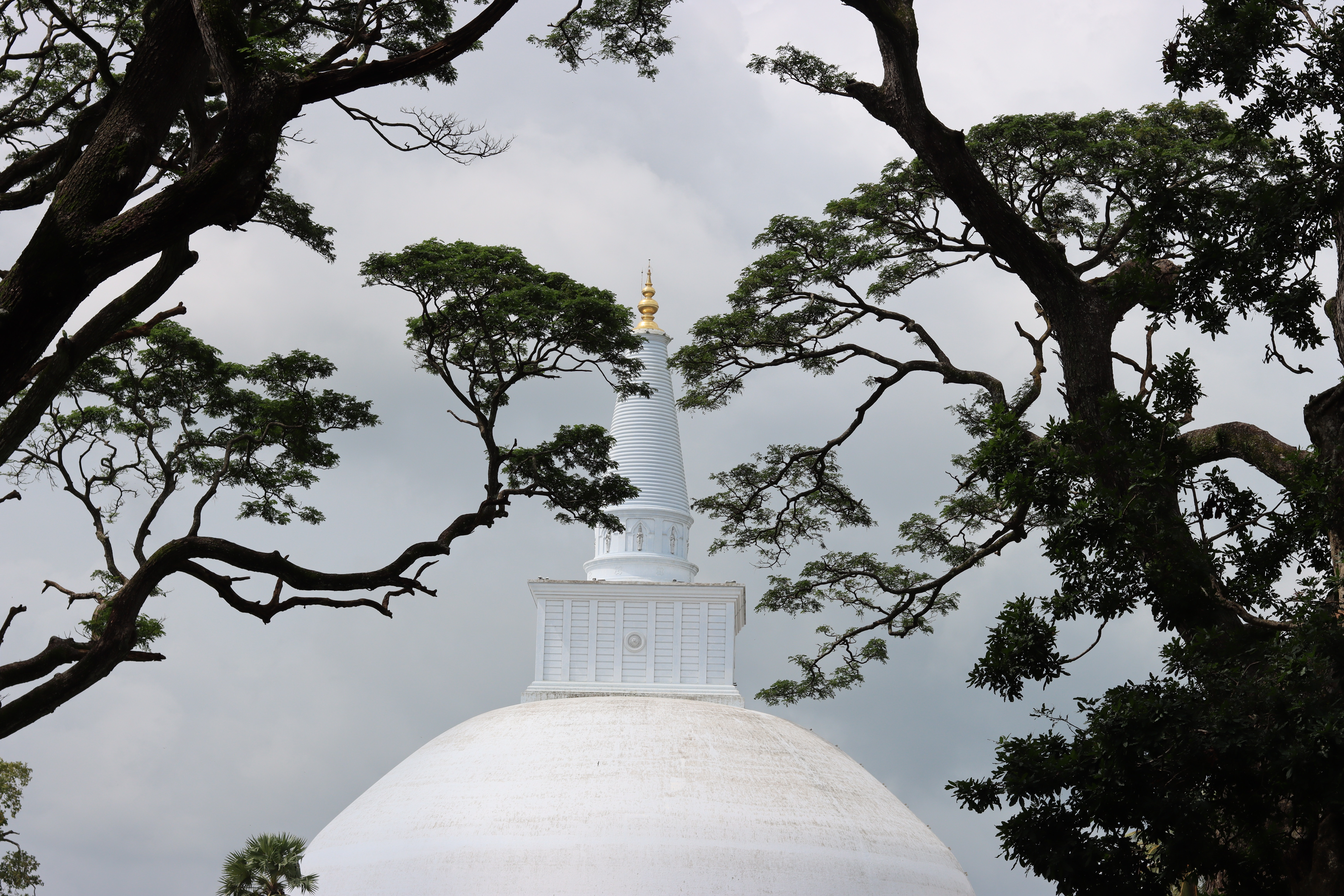 Best Free Anuradhapura Sri Lanka & Image · 100% Royalty Free HD Downloads