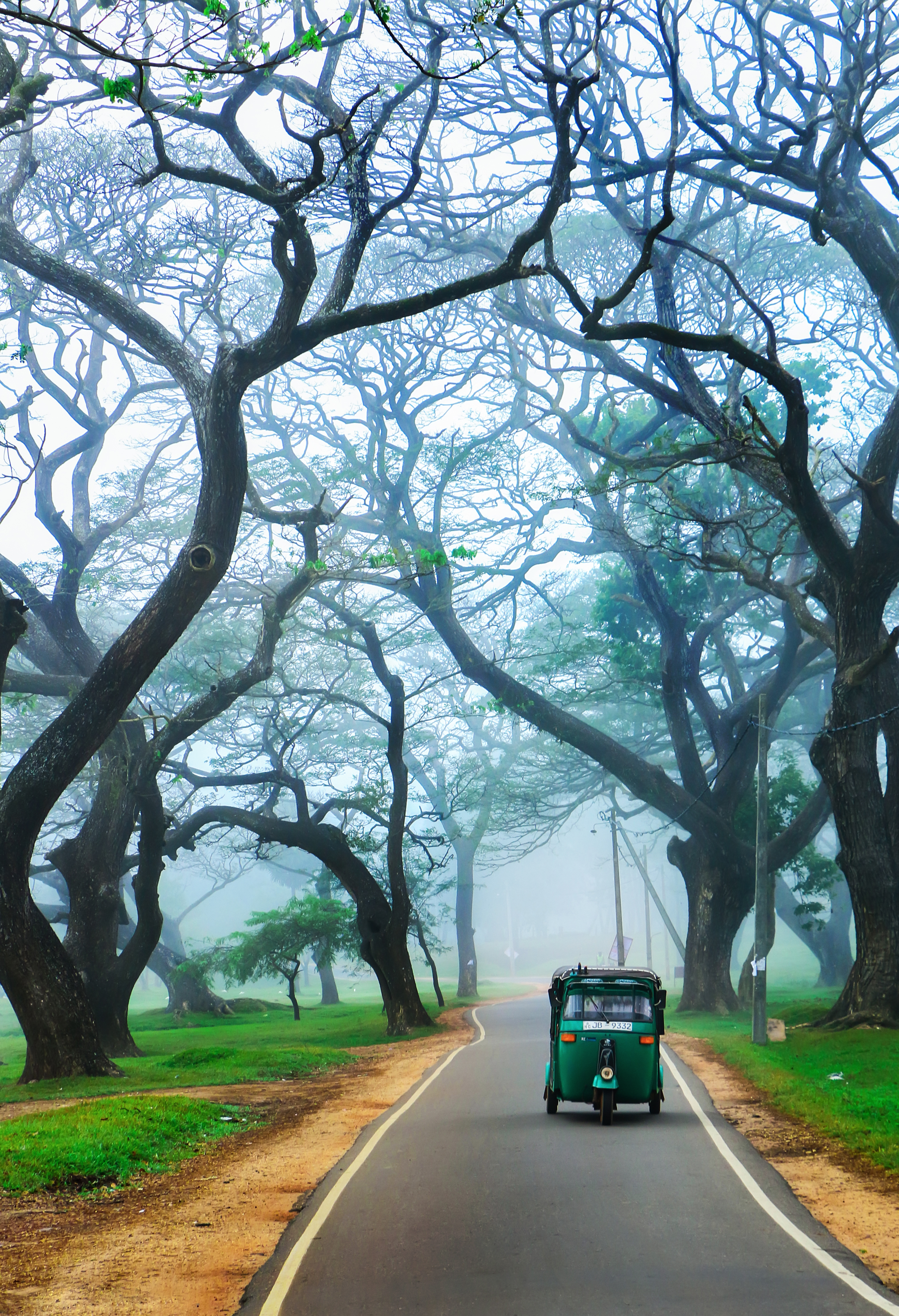 Beautiful Morning in Anuradhapura