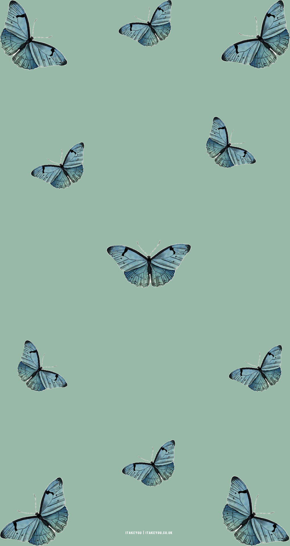 Sage Green Minimalist Wallpaper for Phone, Butterfly Butterfly I Take You. Wedding Readings. Wedding Ideas