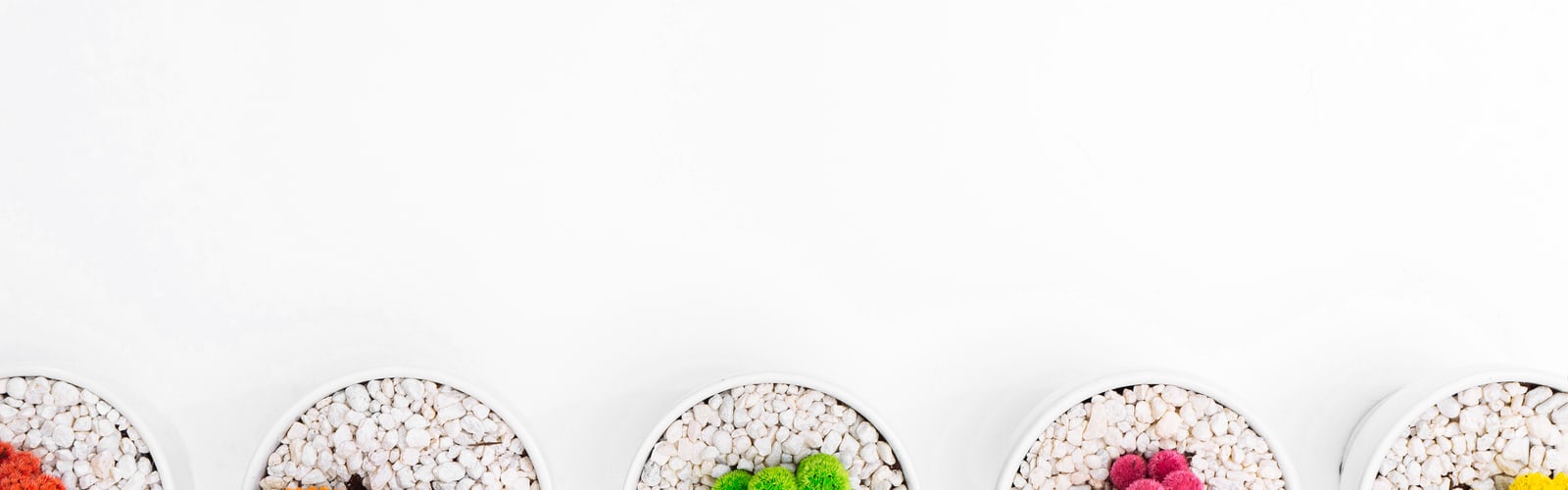 Smm. best free smm, plant, grey and background photo