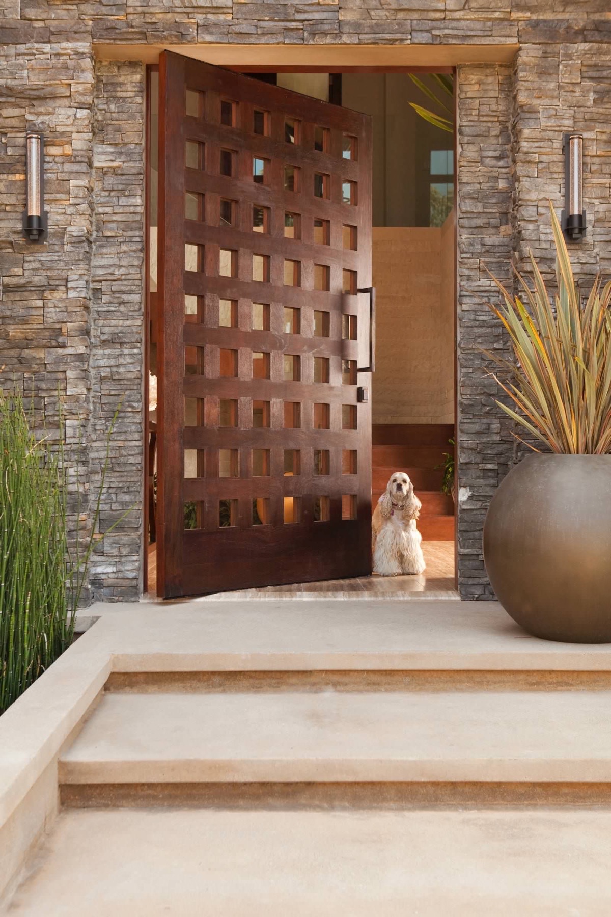 Modern Front Door Designs