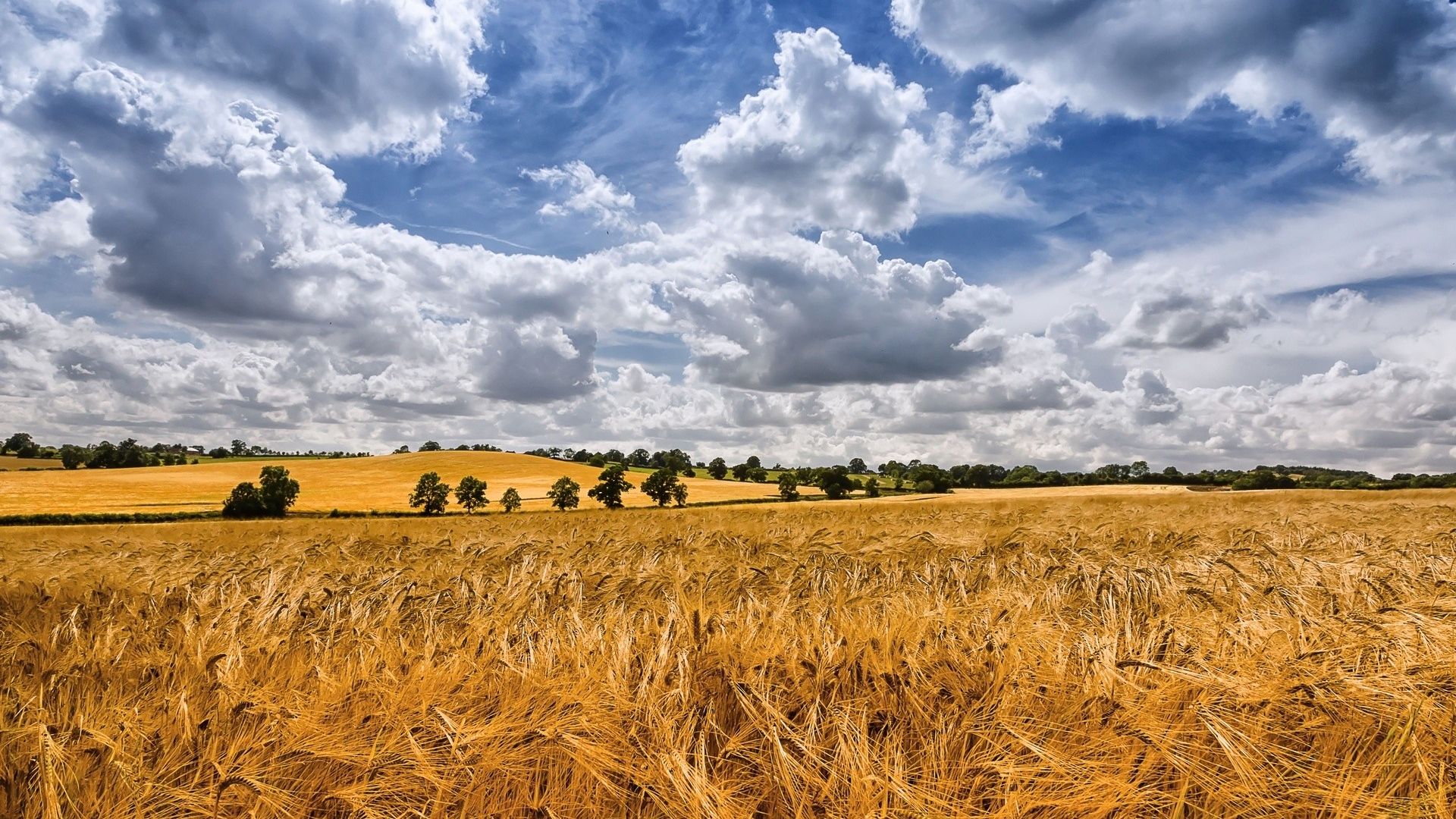 Summer Sky Clouds Fields Landscape Free HQ Image