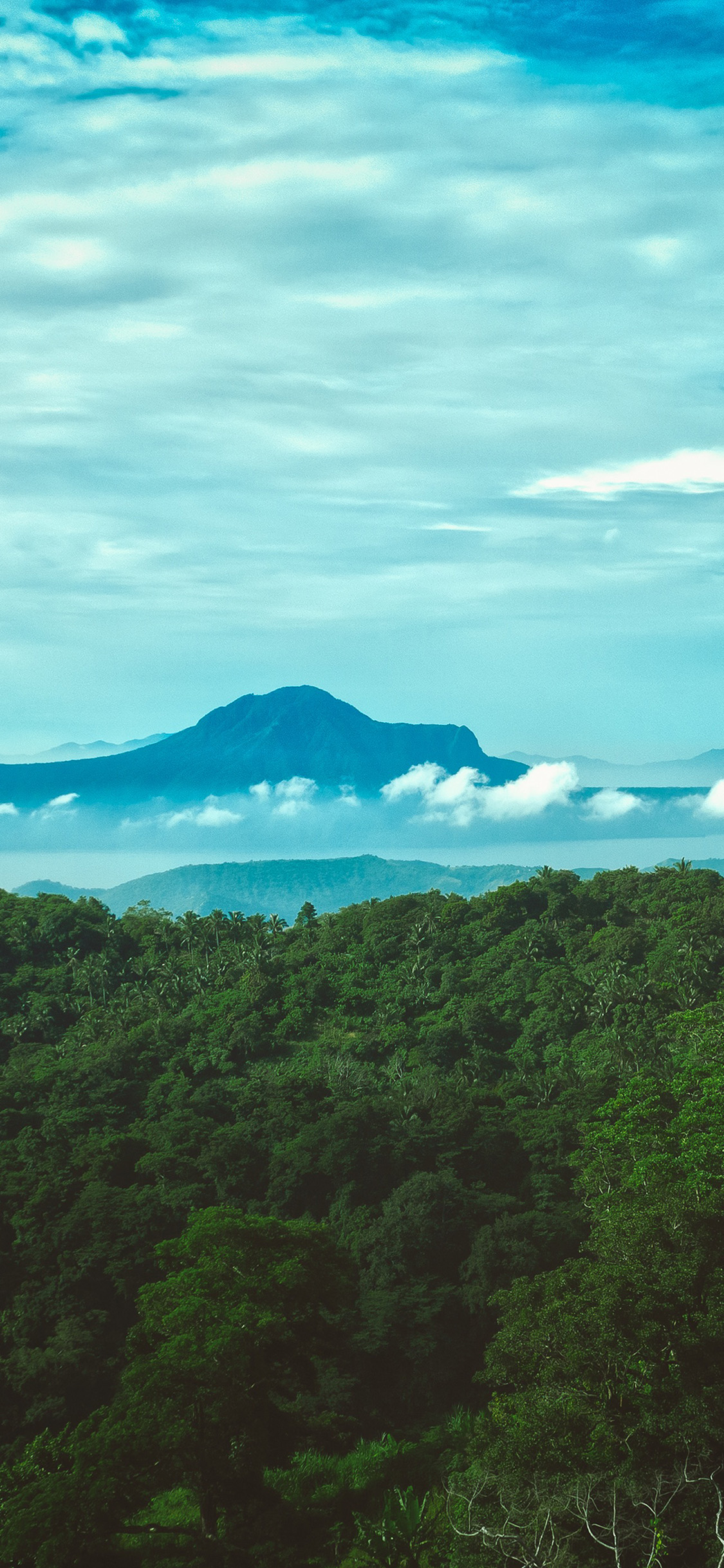 Summer Sky Wood Mountain Cloud Sunny Nature Wallpaper