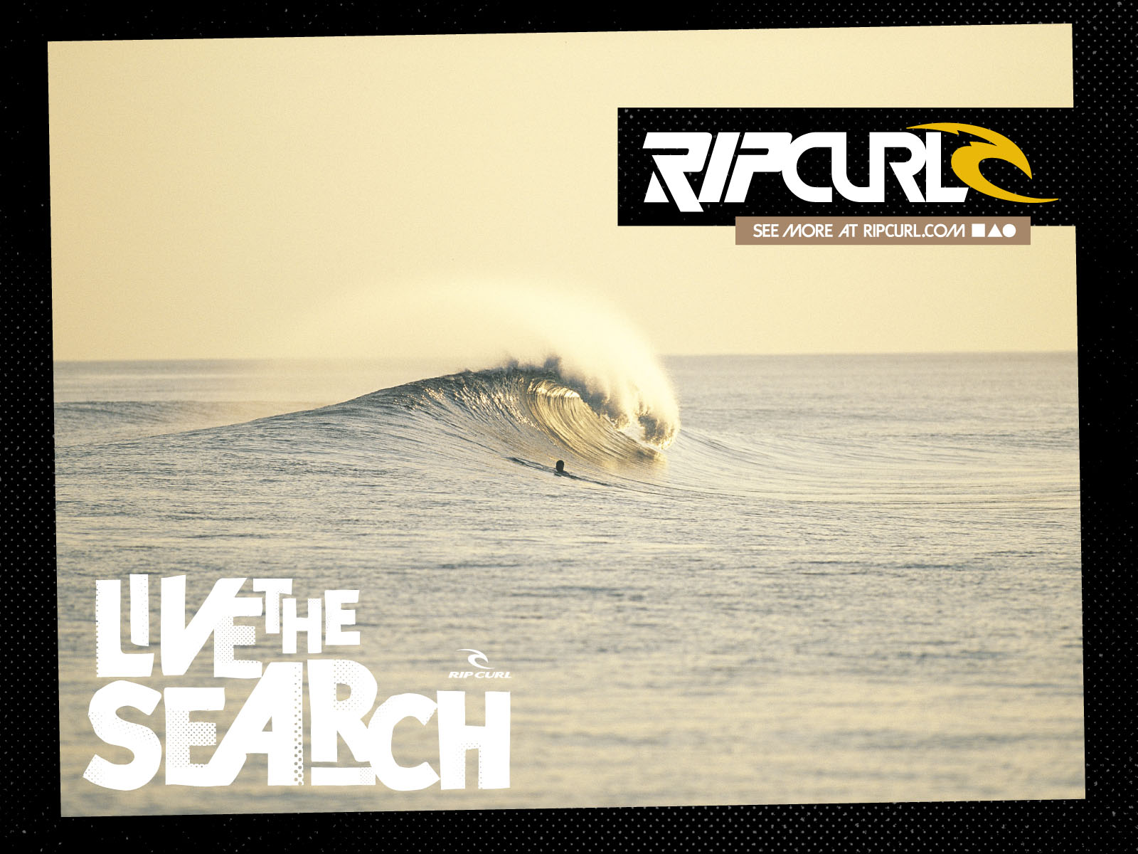 Rip Curl Wallpaper