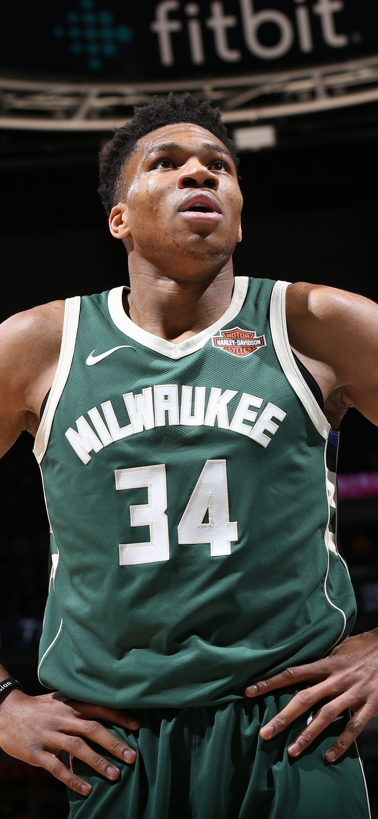 Giannis Antetokounmpo iPhone XS MAX HD 4k Wallpaper, Image, Background, Photo and Picture