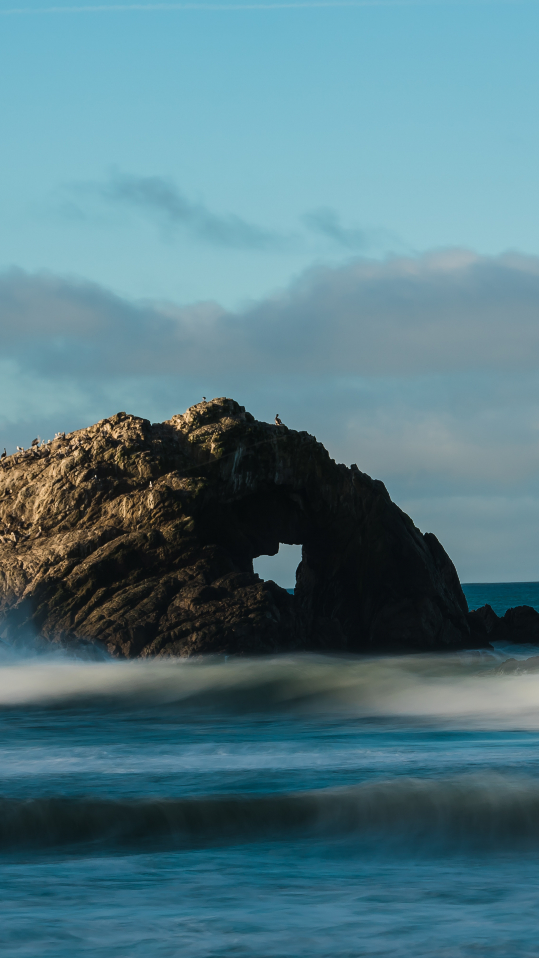 Hard Love iPhone Wallpaper