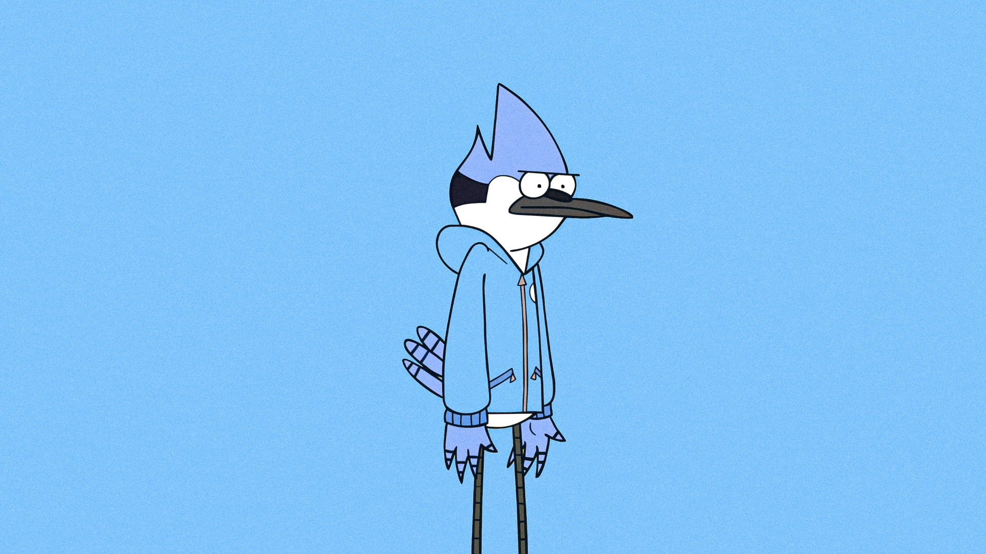 Mordecai on Hoodie